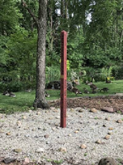 58543521 10216333145541847 6591909749996912640 n 1