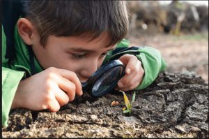 mindfulness in nature 1