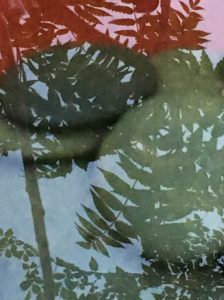 67429051 2783317851712284 7972143579860566016 o 224x300