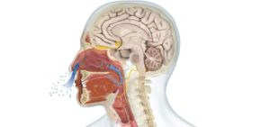 67167591 10215037654436316 615884583530921984 n 300x141