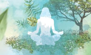 67933999 2497623423649961 8749220871580680192 o 300x180