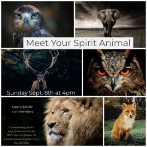 68833524 2404615216419431 2976949499097776128 o 300x300