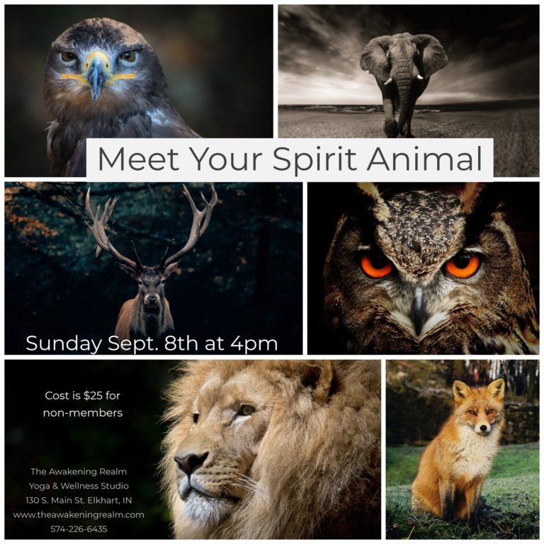 68833524 2404615216419431 2976949499097776128 o 768x768