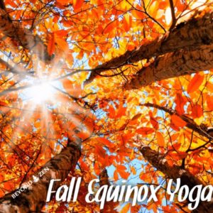 70140034 2748249958552546 5423165663181012992 n 300x300