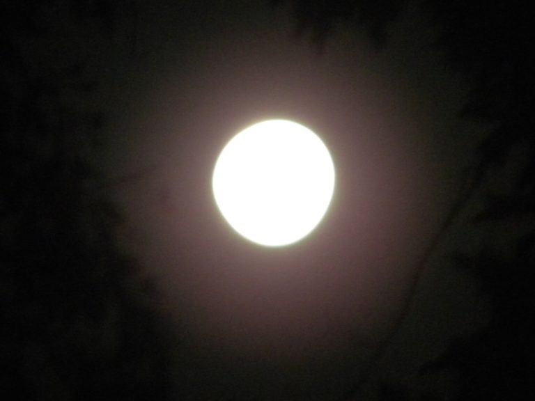 71494505 2359303480857996 9170786183859404800 o 768x576