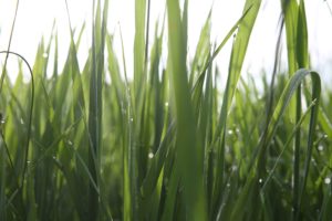 65387725 480346116104349 8994658804935163904 o 300x200