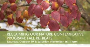 71658578 10162789460915157 7562237879724802048 o 300x157