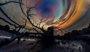 75349087 456185665018454 1668269905989861376 n 300x174