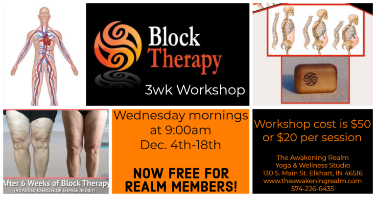 december newsletter block therapy 768x403