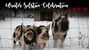 78244264 594337094705250 7225763115189665792 o 300x169