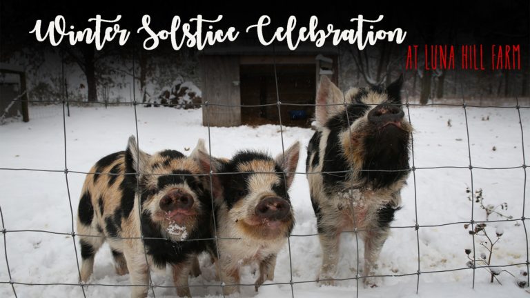 78244264 594337094705250 7225763115189665792 o 768x432