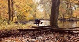 79420994 166466954748023 3751701040257302528 n 300x162