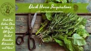 52674276 1799359366835305 5644658836032716800 o 1 300x169