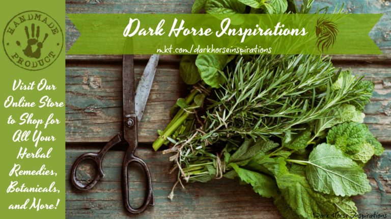 52674276 1799359366835305 5644658836032716800 o 1 768x432