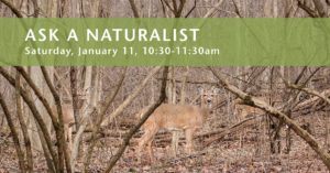 74888284 10163022323815157 7792576275729612800 o 300x157