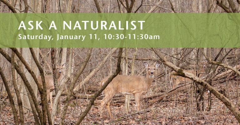 74888284 10163022323815157 7792576275729612800 o 768x402