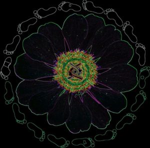 79286917 10157357273848124 1182598581865938944 n 300x296