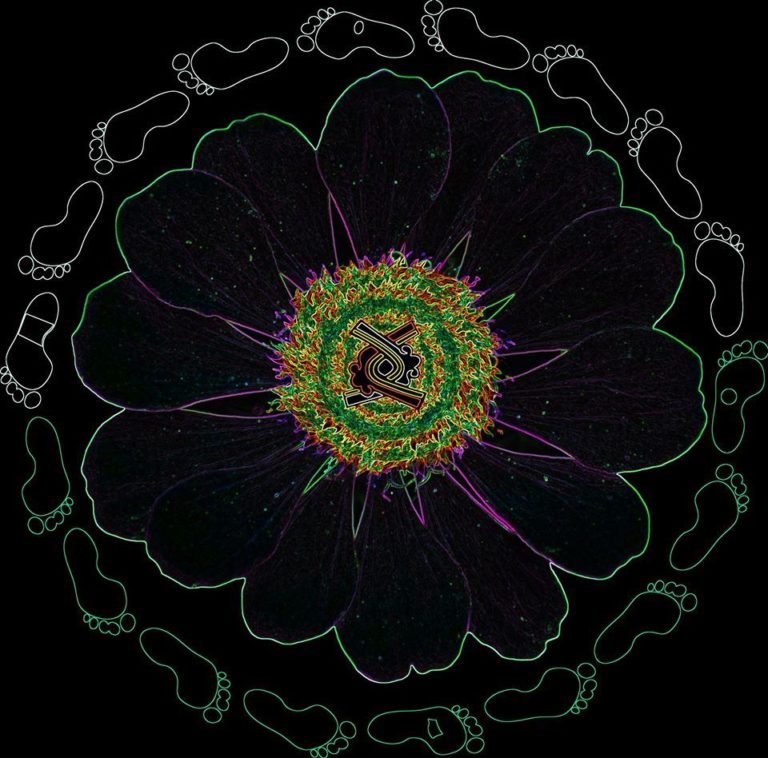 79286917 10157357273848124 1182598581865938944 n 768x758