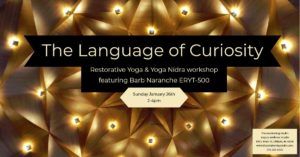 81233461 2519040721643546 3983967580225273856 o 300x157