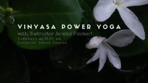 83085453 2870900569632617 8793744108888784896 o 300x169