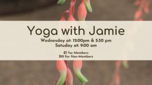 83528803 2870915632964444 8446411559655178240 o 300x169