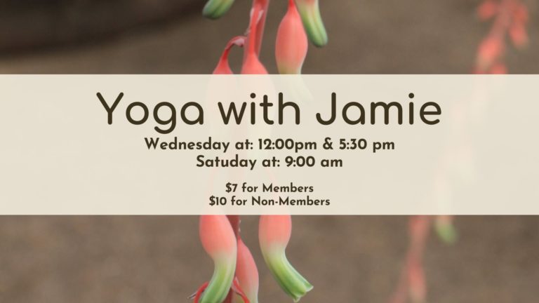 83528803 2870915632964444 8446411559655178240 o 768x432