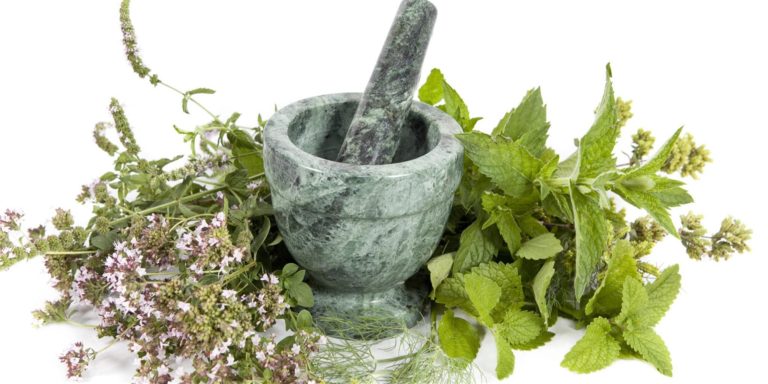 87804614 2515010598748724 4346792978438684672 o 768x384