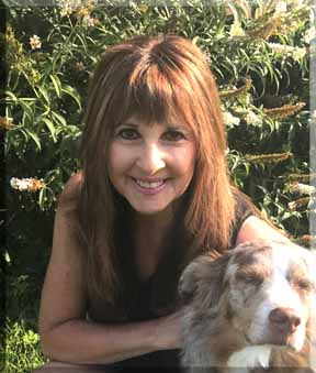 barbanddog 2017res72 orig