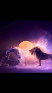 117260356 2718357901711826 5336982811806820627 n 169x300