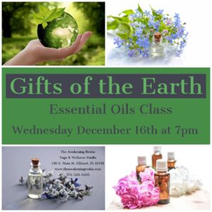 126163794 2810725535808395 756779669435920852 o 1 300x300