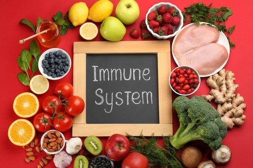 241028223 3019505261597087 1117084602334801247 n