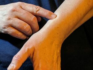 248050543 2496709483796847 2183992258835184538 n 300x225