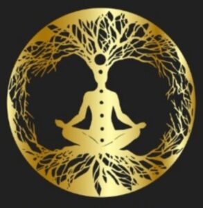 257286555 511583370287059 5958091518400102695 n 293x300