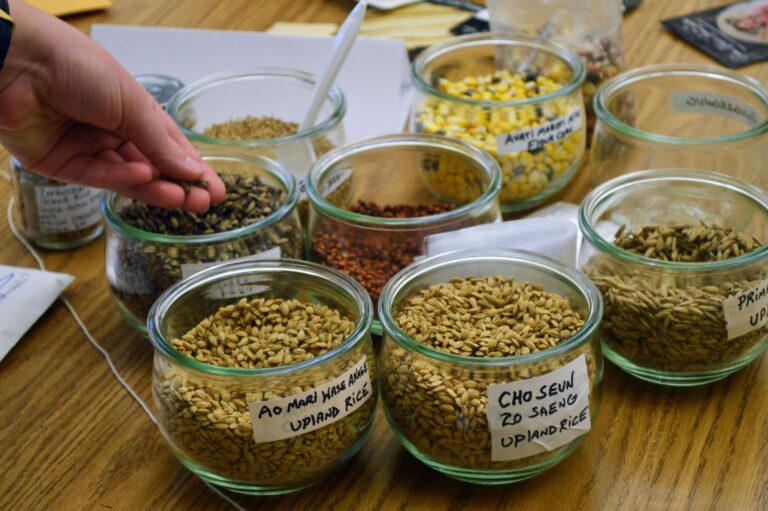 262158486 5002103589808650 7571066391005313374 n 768x511