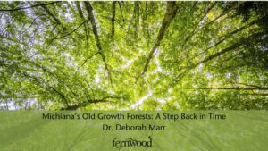 271171237 10166445816890157 3919697630755724552 n 300x169