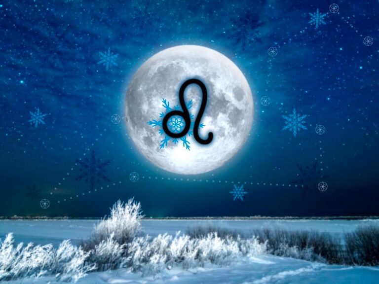 272862036 482915370082236 7639851583303101843 n 768x576