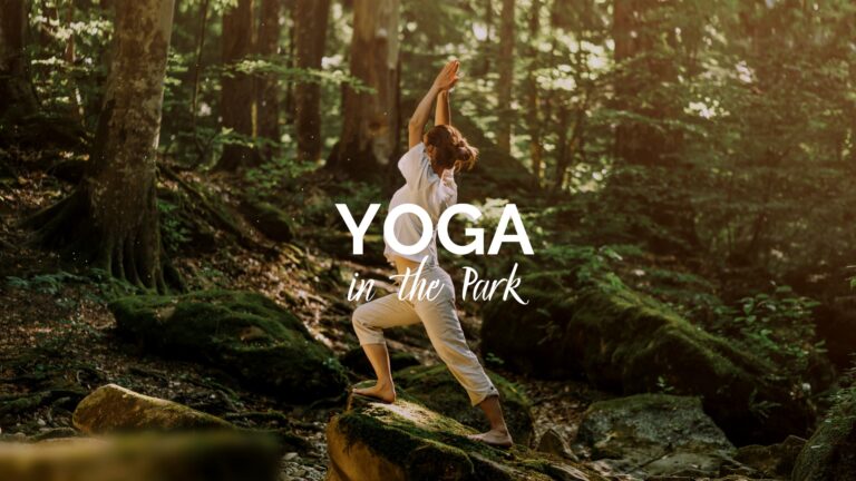 278684432 283494740643918 338911463959672670 n 768x432