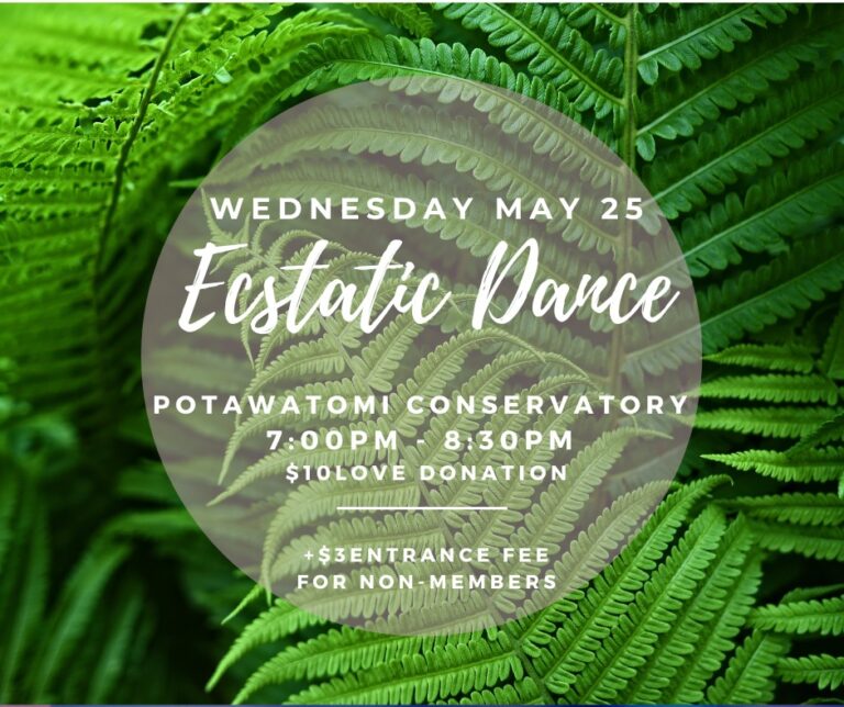 280477590 5382209098488959 5020153215824881801 n 768x644