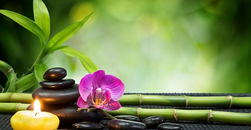 97061211 140096994270668 6521857162656874496 n