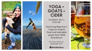 280284165 548722729974994 4789352608752558242 n 300x169