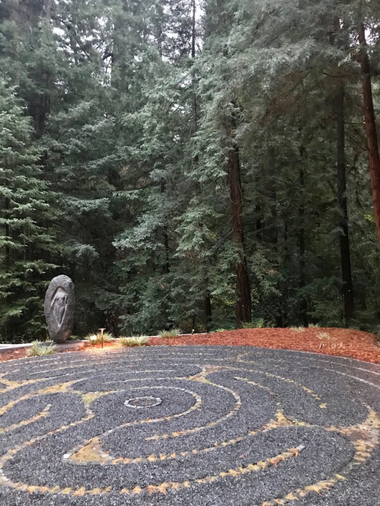 284970252 10227534161238105 8136106054202285822 n 768x1024