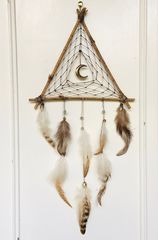 285449938 998029797752552 3476060777440625314 n