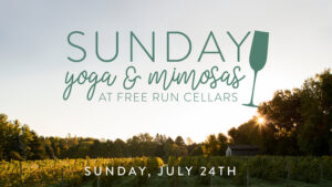 279430973 10160230117079916 468622276044591120 n 300x169