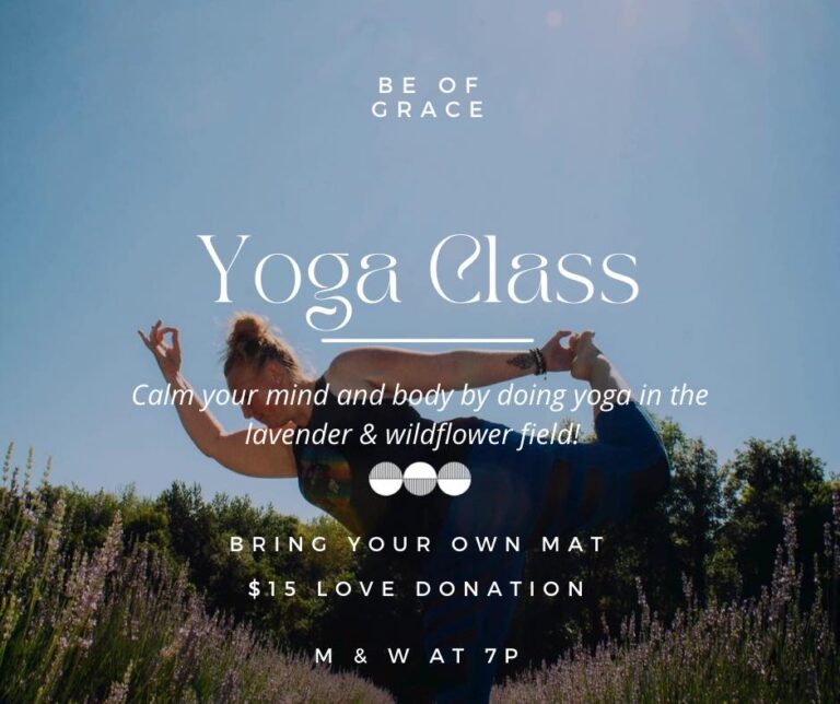 293800618 549689893613036 6673842925609463459 n 768x644