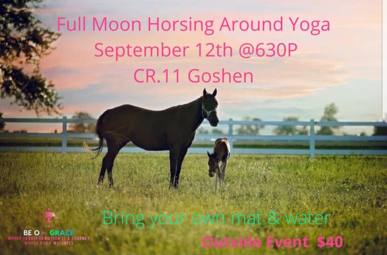 inbound4892891116231628570 768x506