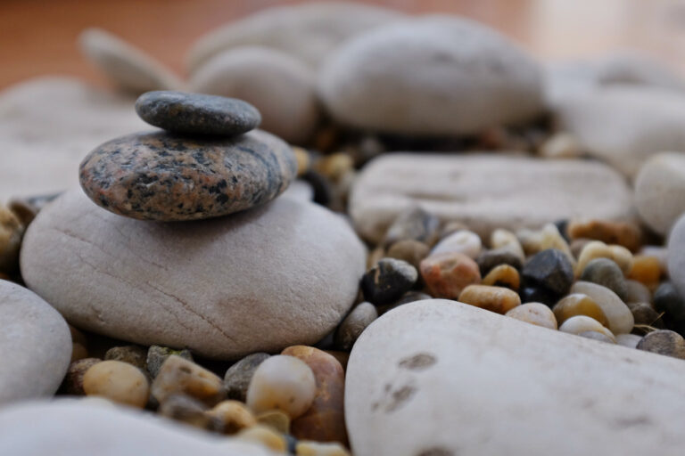 DSCF6611 INGRID 768x512