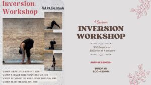 312143975 182995870907456 6185816381577135267 n 300x169