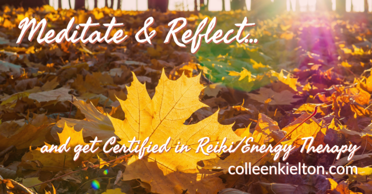 Meditate Reflect Fall 1 768x402