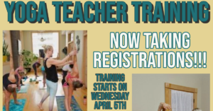 conscious 200hr YTT 300x157