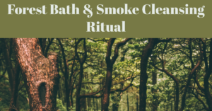 conscious feb forest bath 300x157